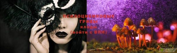 таблы Арсеньев