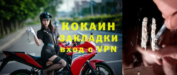 ПСИЛОЦИБИНОВЫЕ ГРИБЫ Армянск