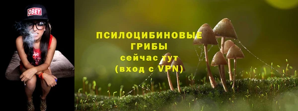 эйфоретик Баксан