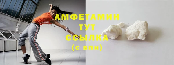 индика Ростов