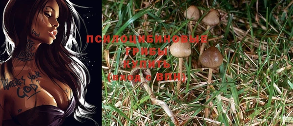 эйфоретик Баксан