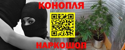 тгк Краснодар