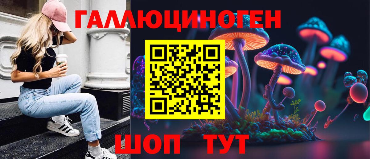 Находка  Галлюциногенные грибы Psilocybe  Вход с VPN 
